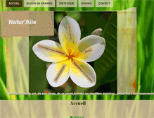 Tablet Screenshot of natur-aile.com